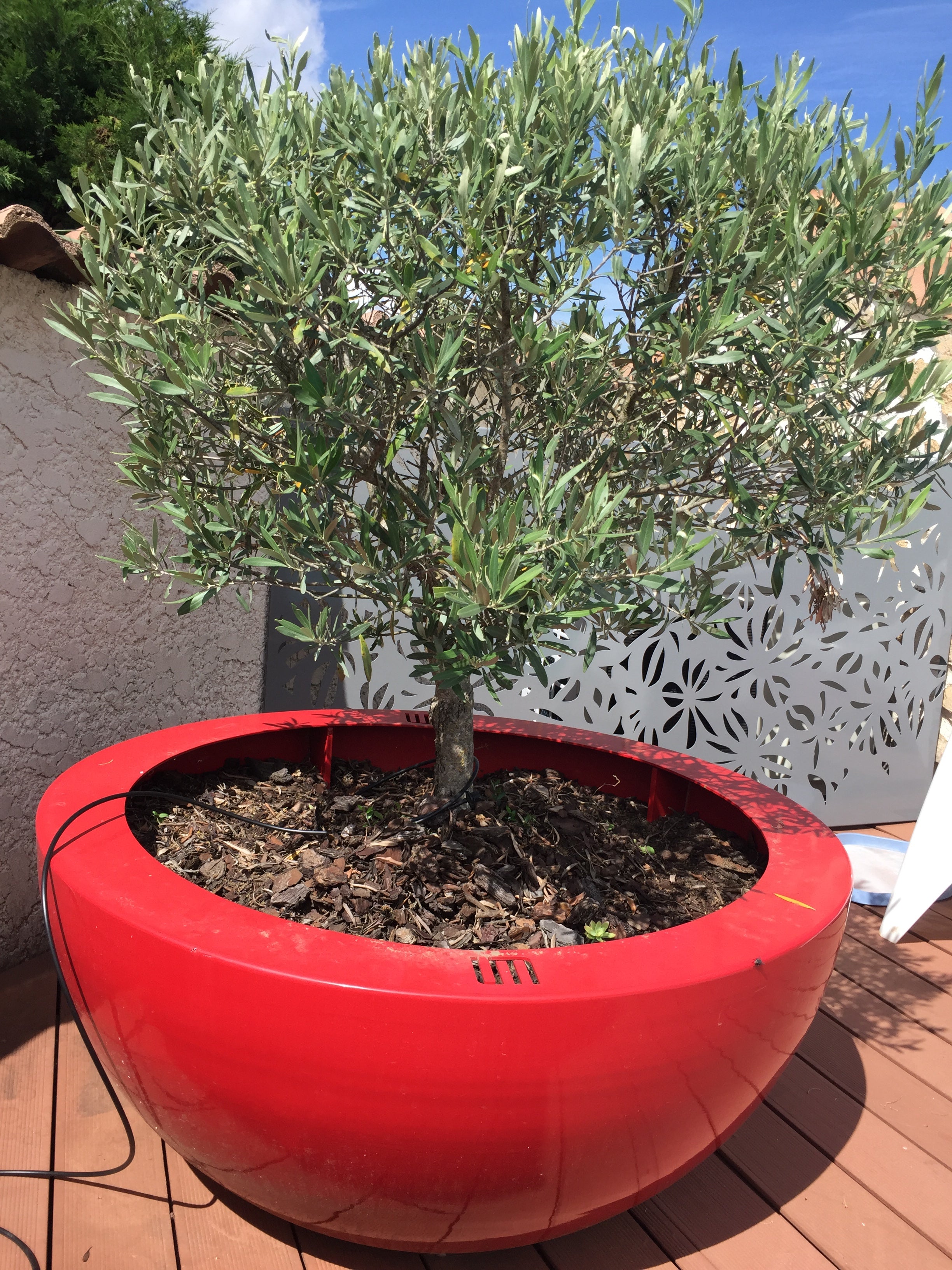 HEDONI Totem Hemisphèrique