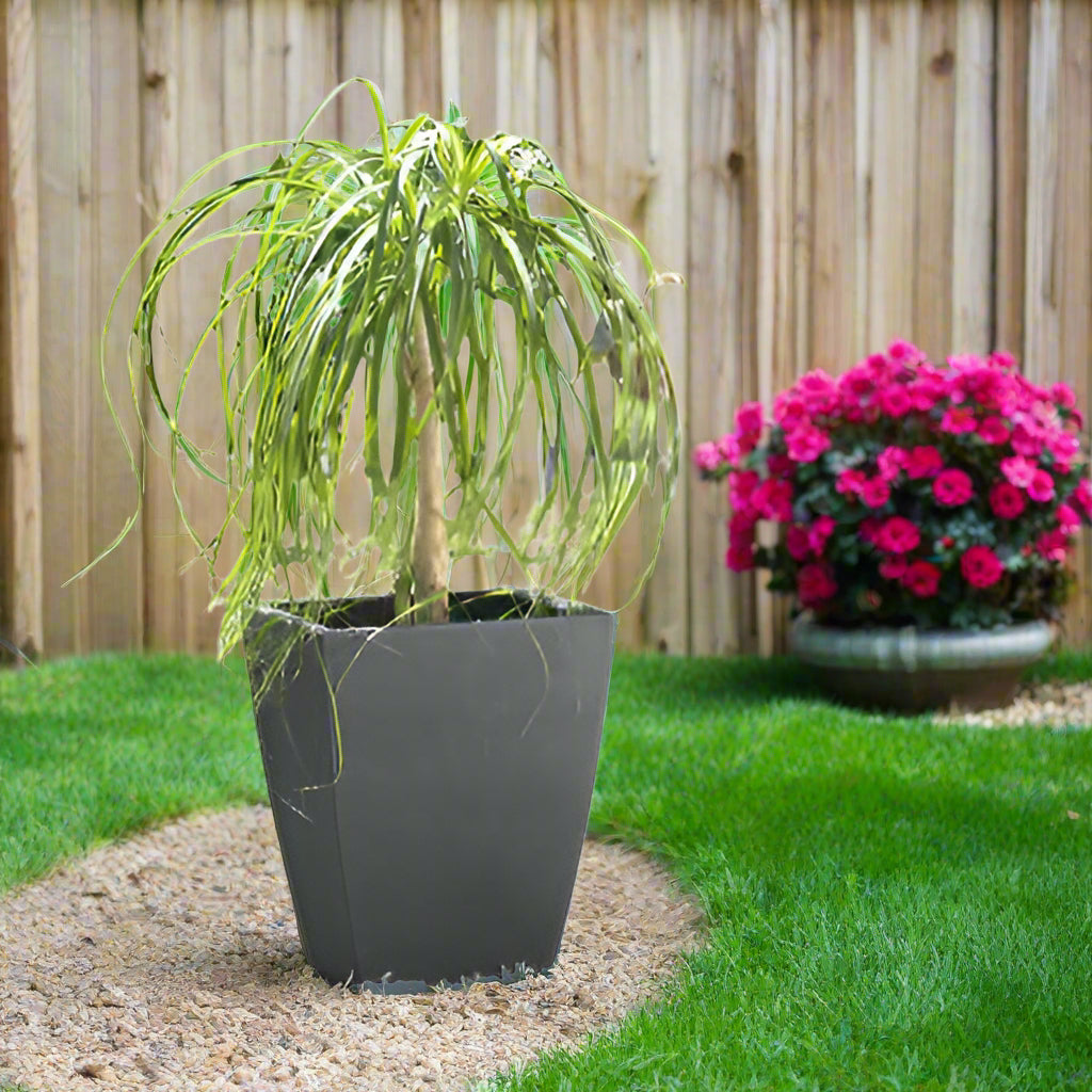 Vue rapprochée du pot Montano design et résistant