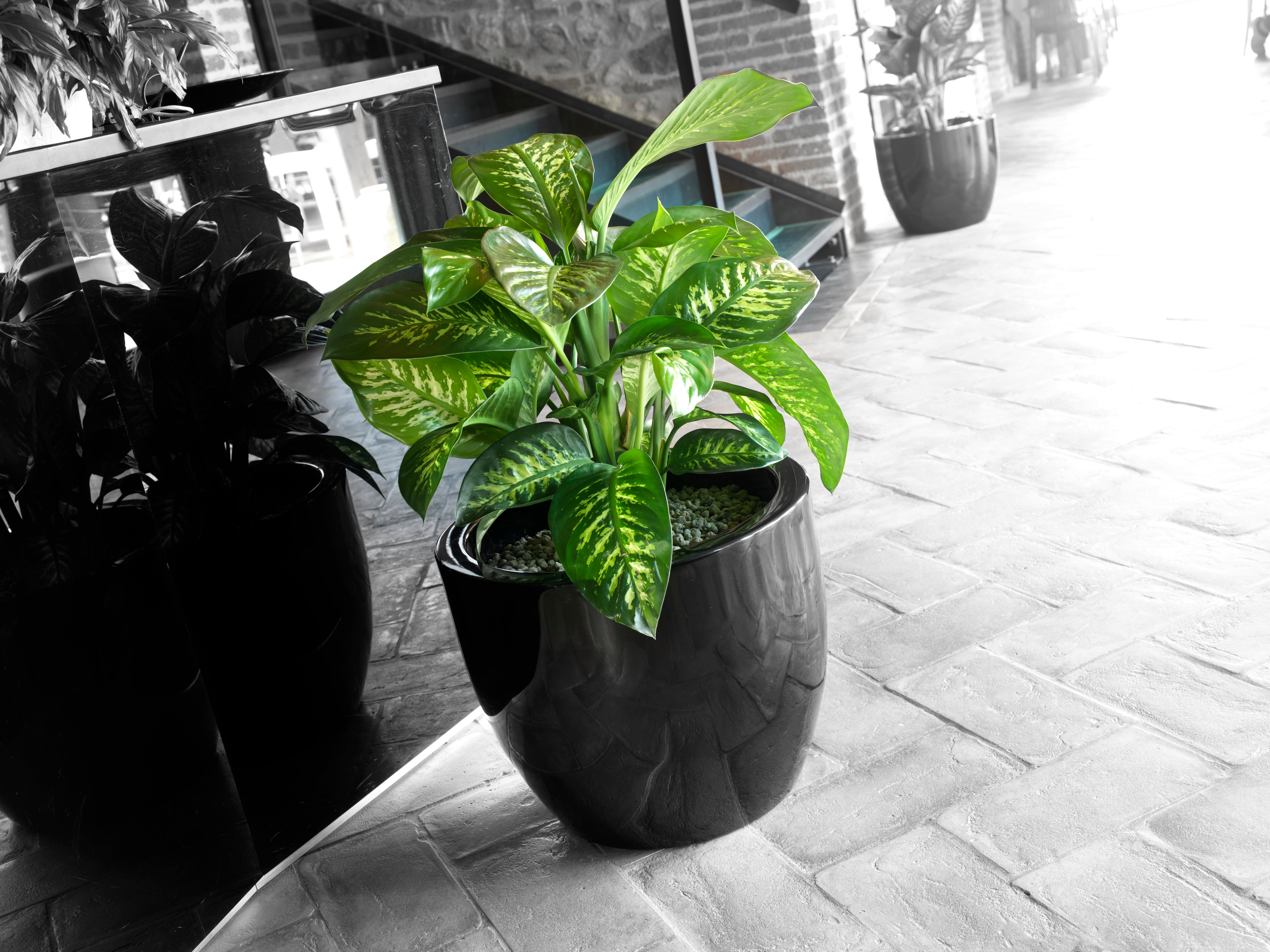 Pot_de_fleurs_VENETO_noir_1