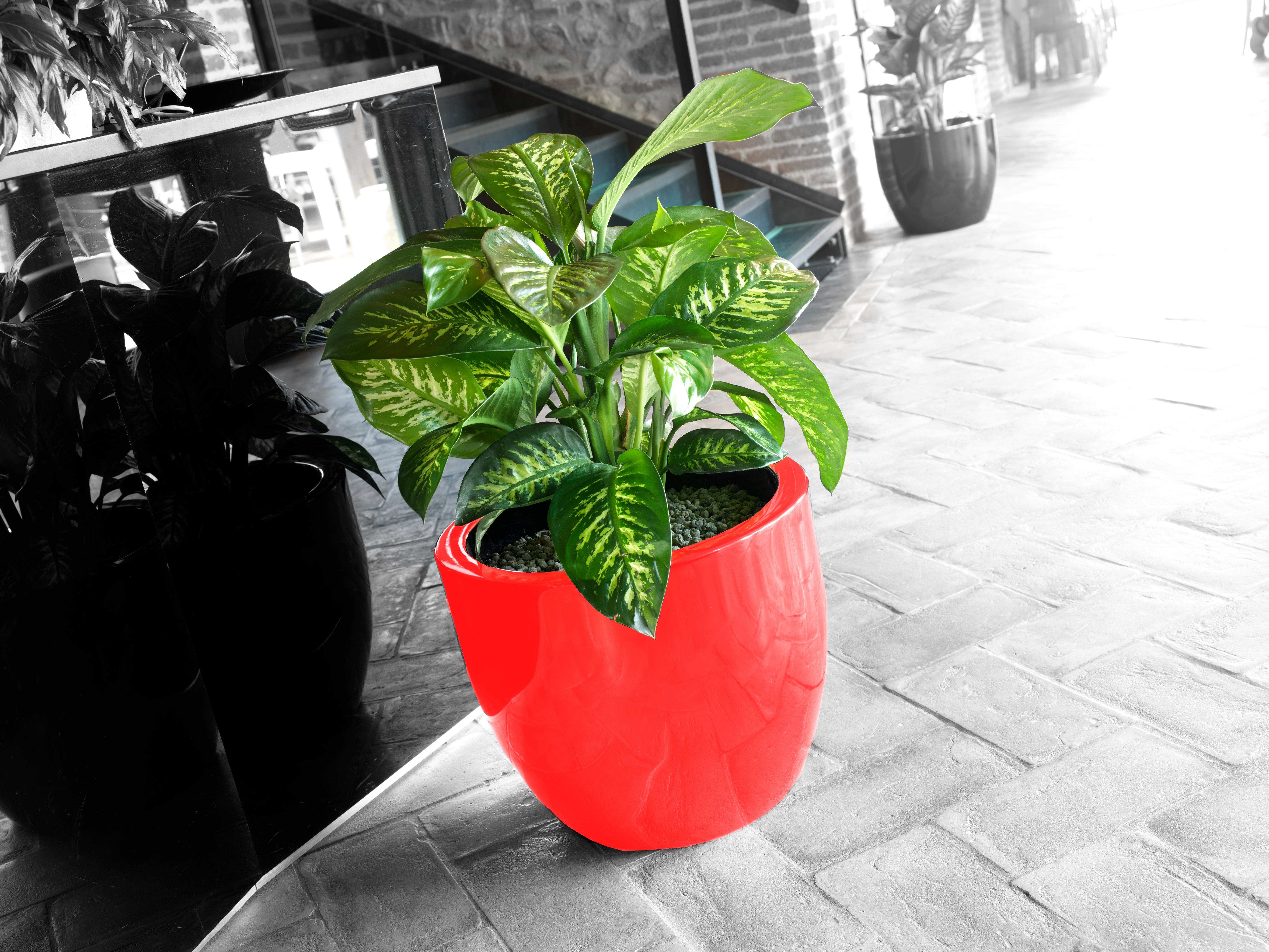 Pot_de_fleurs_VENETO_rouge_1