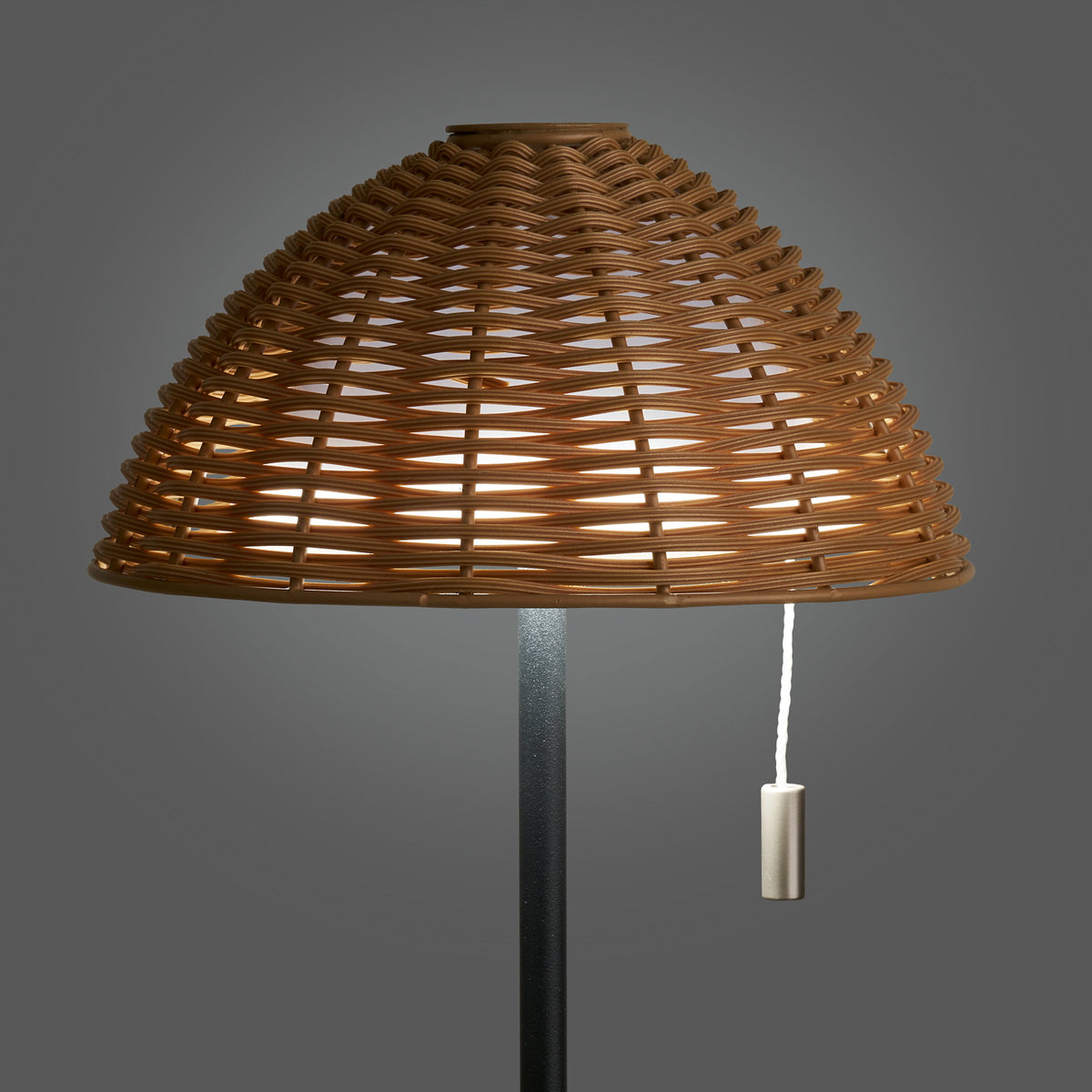 Lampe WIGAN éclairage extérieur