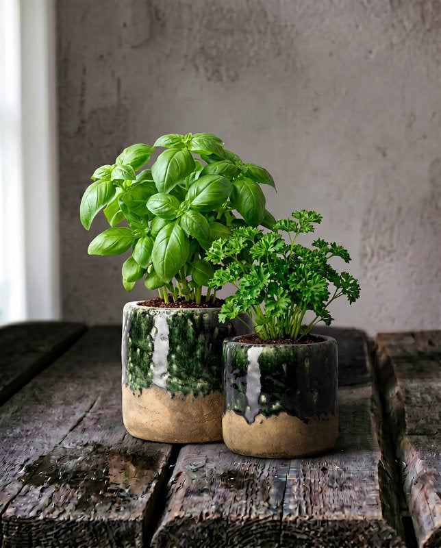 Jardinière MOSS en grès vert béton, taille M