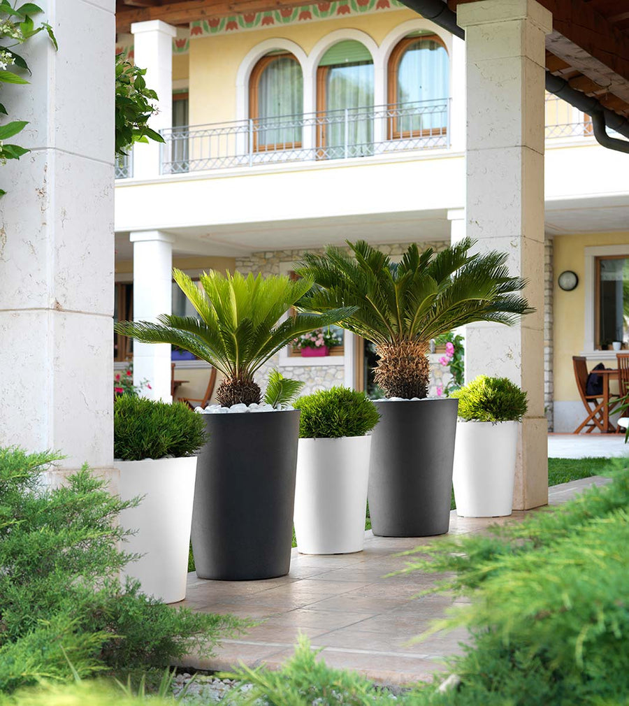 Pot de fleurs - CASSIO